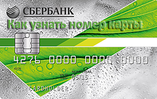 Как узнать номер карты Сбербанка России